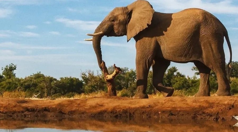 Safari in Kruger & City Break, South Africa Package Deal