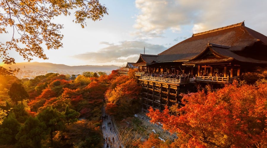Japan's Tokyo, Kyoto and Osaka via Shinkansen Bullet Train