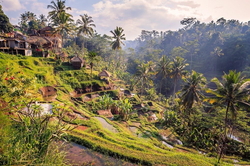 14 Nights Escape Across Bali, Flights Inclusive