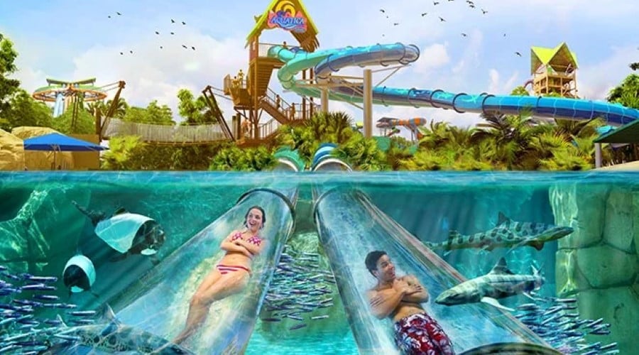Aquatica Orlando, Book Tickets from just £76 per person!