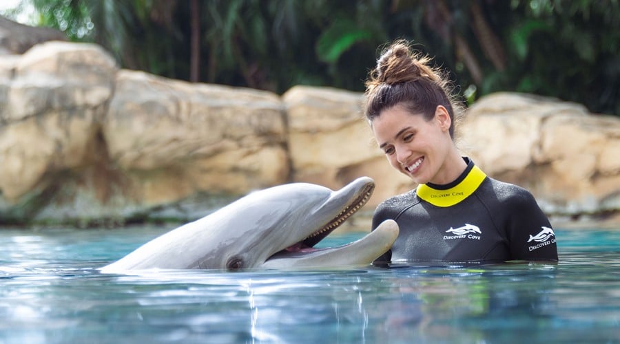 Get Great Deals on Discovery Cove® Tickets, from £134 pp