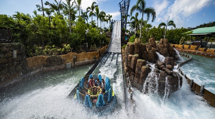 Book SeaWorld Orlando Tickets from £65 per person!